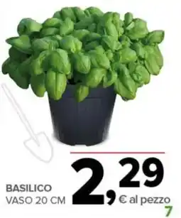 Todis Basilico offerta