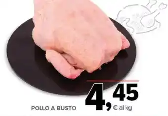 Todis Pollo a busto offerta