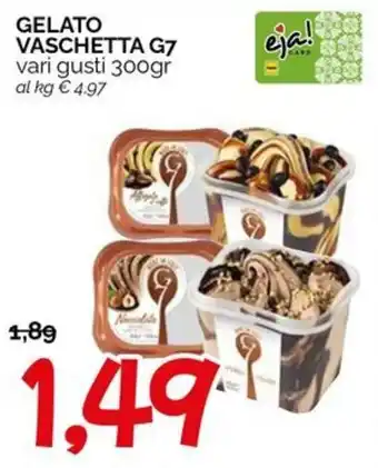 Hardis Gelato vaschetta G7 offerta
