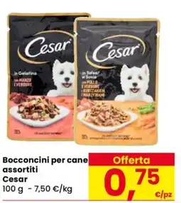 Despar Bocconcini per cane Cesar offerta