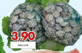 MA Supermercati Vongole offerta