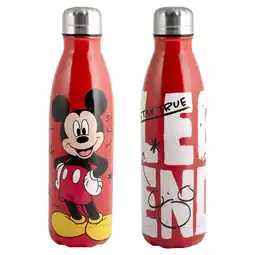 Spazio Conad BOTTIGLIA TERMICA DISNEY offerta