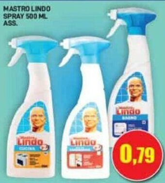 Mastro Lindo Spray 500 ml Ass.
