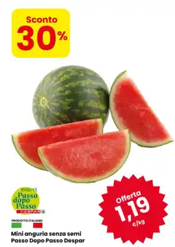 Eurospar Mini anguria senza semi Passo Dopo Passo Despar offerta