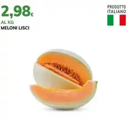Basko Meloni lisci offerta