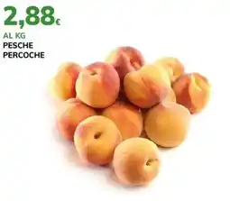 Basko Pesche percoche offerta