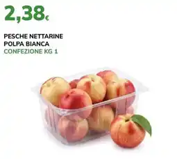 Basko Pesche nettarine polpa bianca offerta
