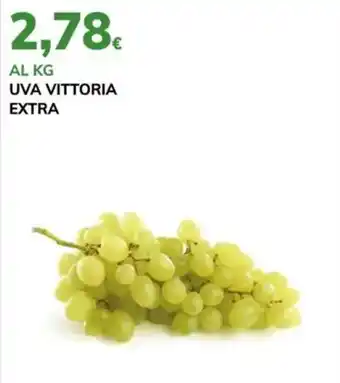 Uva vittoria extra