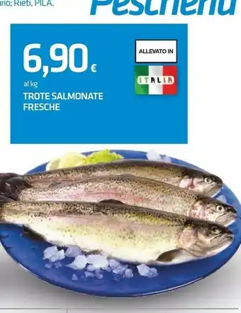 Trote salmonate fresche
