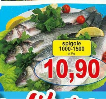 Pewex Pesce offerta