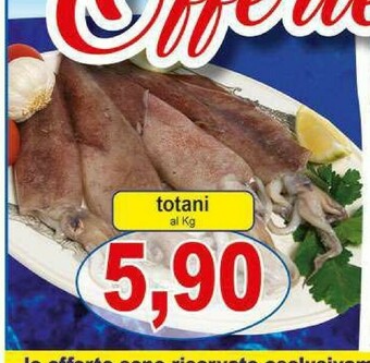 Pewex Pesce offerta