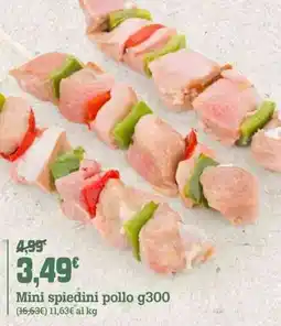 Banco Fresco Mini spiedini pollo offerta