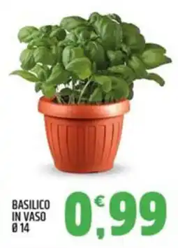 Ard Discount Basilico in Vaso offerta
