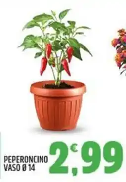Ard Discount PEPERONCINO offerta