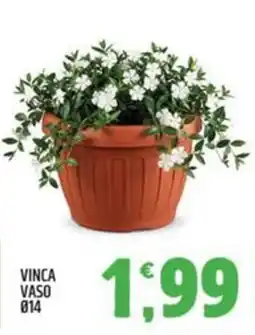 Ard Discount VINCA VASO offerta