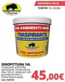 Brico Io IDROPITTURA 14L offerta