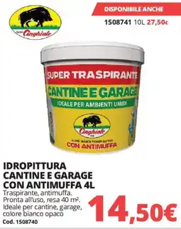 Brico Io IDROPITTURA CANTINE E GARAGE CON ANTIMUFFA Cinghiale offerta