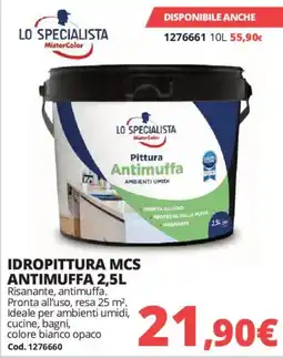 Brico Io LO SPECIALISTA Pittura Antimuffa offerta