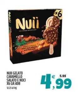 Ard Discount NUII GELATO CARAMELLO SALATO E NOCI offerta