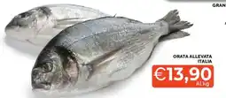 Mercatò ORATA ALLEVATA ITALIA offerta
