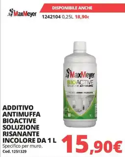 Brico Io MaxMeyer BIOACTIVE SOLUZIONE ANTIMUFFA offerta