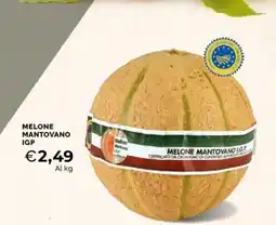 Mercatò Melone Mantovano I.G.P. offerta