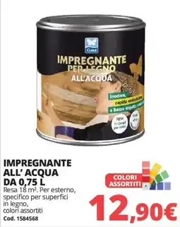 Brico Io Impregnante per legno all'acqua Gaia offerta