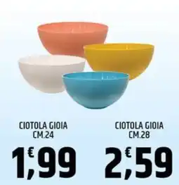 Ard Discount CIOTOLA GIOIA offerta