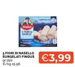 Mercatò 5 FIORI DI NASELLO SURGELATI FINDUS offerta