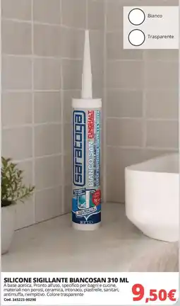 Brico Io Silicone sigillante Biancosan offerta