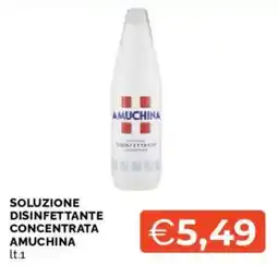Mercatò SOLUZIONE DISINFETTANTE CONCENTRATA AMUCHINA offerta