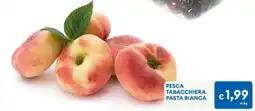 MD Discount PESCA TABACCHIERA PASTA BIANCA offerta