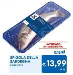 MD Discount Spigola della Sardegna eviscerata offerta