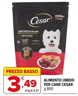 Iperal ALIMENTO UMIDO PER CANE CESAR offerta