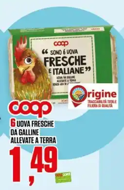 Coop Uova fresche Coop offerta
