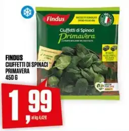 Coop FINDUS CIUFFETTI DI SPINACI PRIMAVERA offerta
