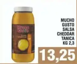 Bitar Mucho Gusto Salsa Cheddar Tanica offerta