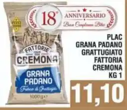 Bitar PLAC GRANA PADANO GRATTUGIATO FATTORIA CREMONA offerta