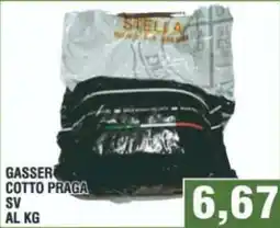 Bitar GASSER COTTO PRAGA offerta