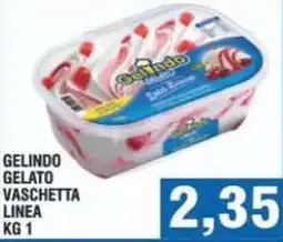 Bitar GELINDO GELATO VASCHETTA LINEA offerta