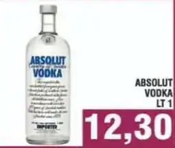 Bitar ABSOLUT VODKA offerta