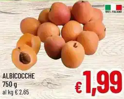 A&O Albicocche offerta