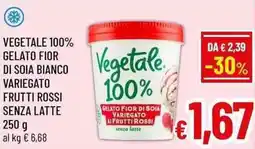 A&O Vegetale 100% gelato fior di soia bianco variegato frutti rossi senza latte offerta