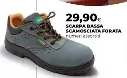 Coop Scarpa bassa scamosciata forata offerta
