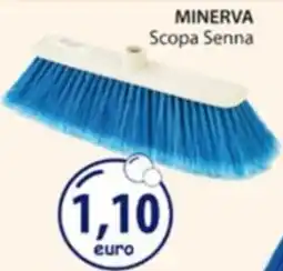 Acqua & Sapone MINERVA Scopa Senna offerta