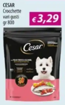 Acqua & Sapone CESAR Crocchette offerta
