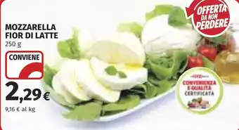 Coop Mozzarella fior di latte offerta