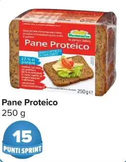 Carrefour Pane Proteico Mestemacher offerta