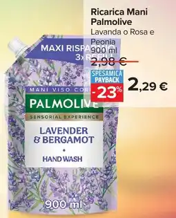 Carrefour Ricarica Mani Palmolive offerta