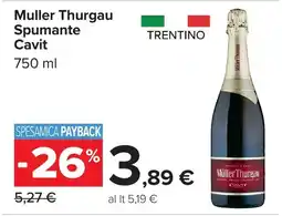 Carrefour Muller Thurgau Spumante Cavvit offerta
